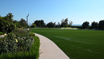 Enlarge photo 32
