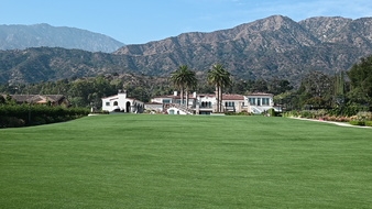 Enlarge photo 33