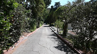 Enlarge photo 11