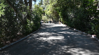 Enlarge photo 13