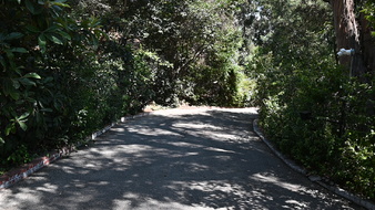 Enlarge photo 14