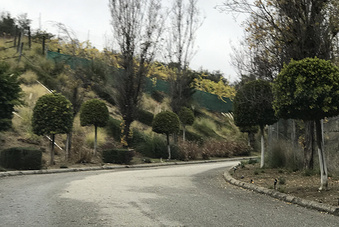 Enlarge photo 13