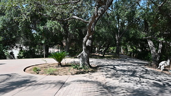 Enlarge photo 7