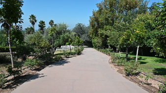 Enlarge photo 10