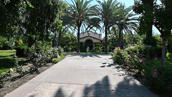 Enlarge photo 11