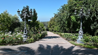 Enlarge photo 12