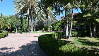 Enlarge photo 13