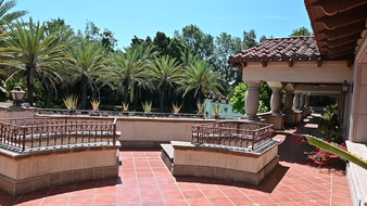 Enlarge photo 81