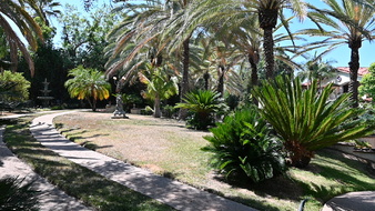 Enlarge photo 102