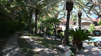 Enlarge photo 104