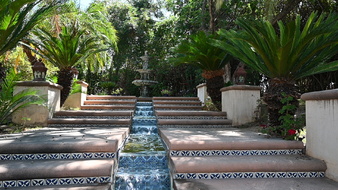 Enlarge photo 105