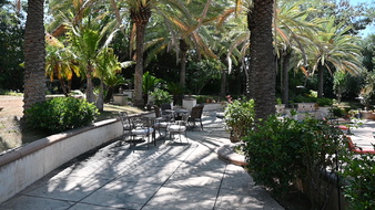 Enlarge photo 106