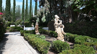 Enlarge photo 35