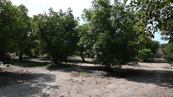 Enlarge photo 36