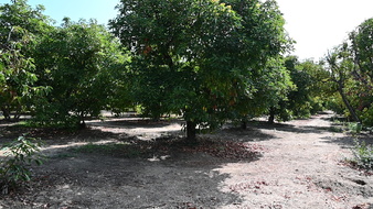 Enlarge photo 37
