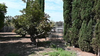 Enlarge photo 39