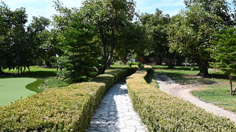Enlarge photo 40