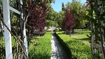 Enlarge photo 41