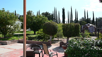 Enlarge photo 44