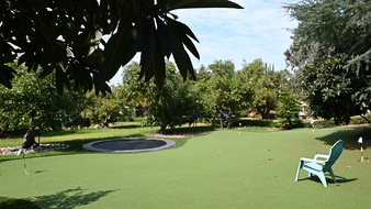 Enlarge photo 45