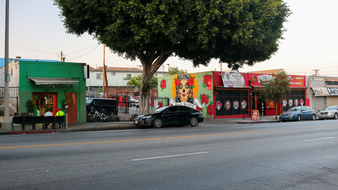 Enlarge photo 15