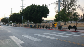 Enlarge photo 26