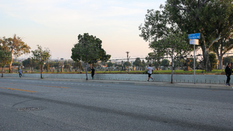 Enlarge photo 14