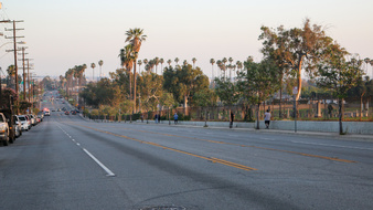 Enlarge photo 15