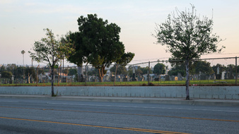 Enlarge photo 18