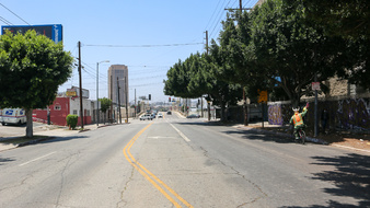 Enlarge photo 45