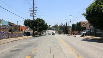 Enlarge photo 43