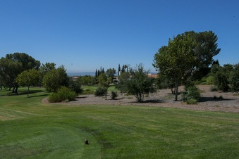 Enlarge photo 12