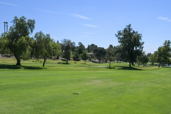 Enlarge photo 30