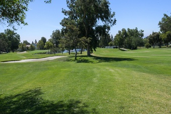 Enlarge photo 33