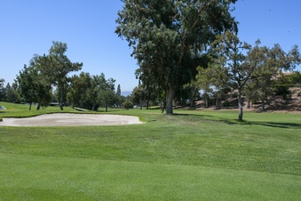 Enlarge photo 35