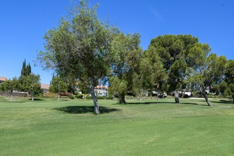 Enlarge photo 36