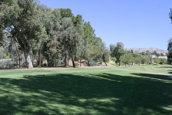 Enlarge photo 40