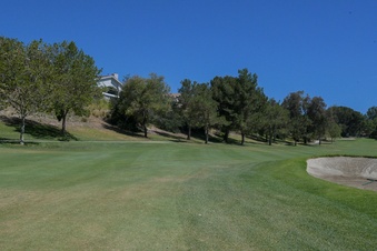 Enlarge photo 43