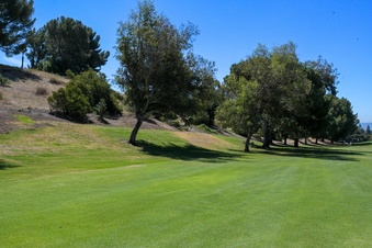 Enlarge photo 45