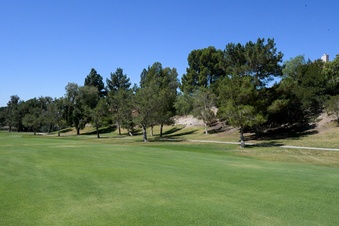 Enlarge photo 46