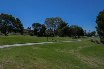 Enlarge photo 51