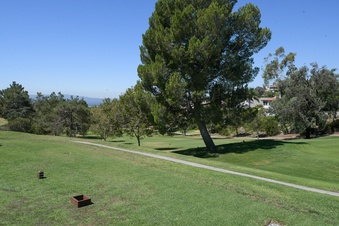 Enlarge photo 56