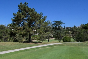 Enlarge photo 61