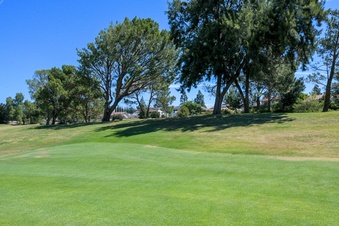 Enlarge photo 62
