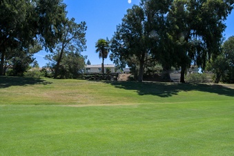 Enlarge photo 63