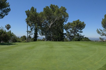 Enlarge photo 69