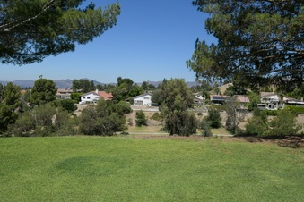 Enlarge photo 71
