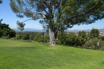 Enlarge photo 72