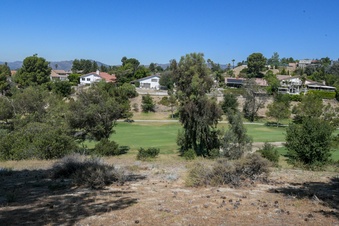 Enlarge photo 74