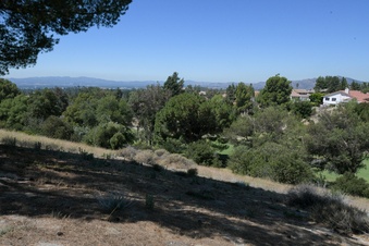 Enlarge photo 75